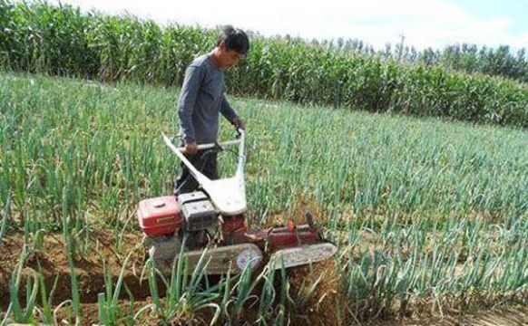 點擊查看詳細信息<br>標題：成功案例 閱讀次數：3230